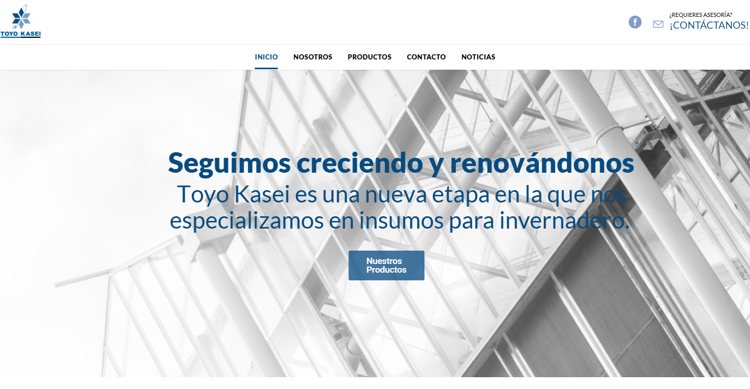 TOYO KASEI México