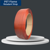 PET Flame Retardant Strap
